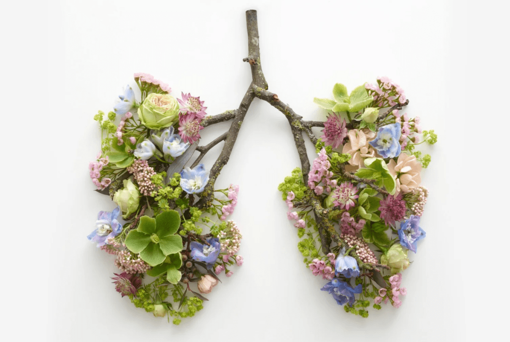 The Breath of&nbsp;Life